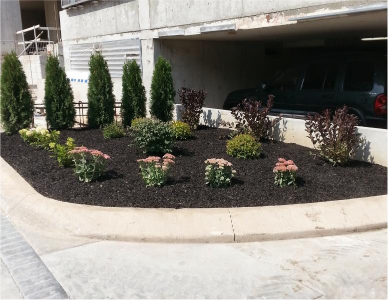 Escarpment Landscaping landscaping after image